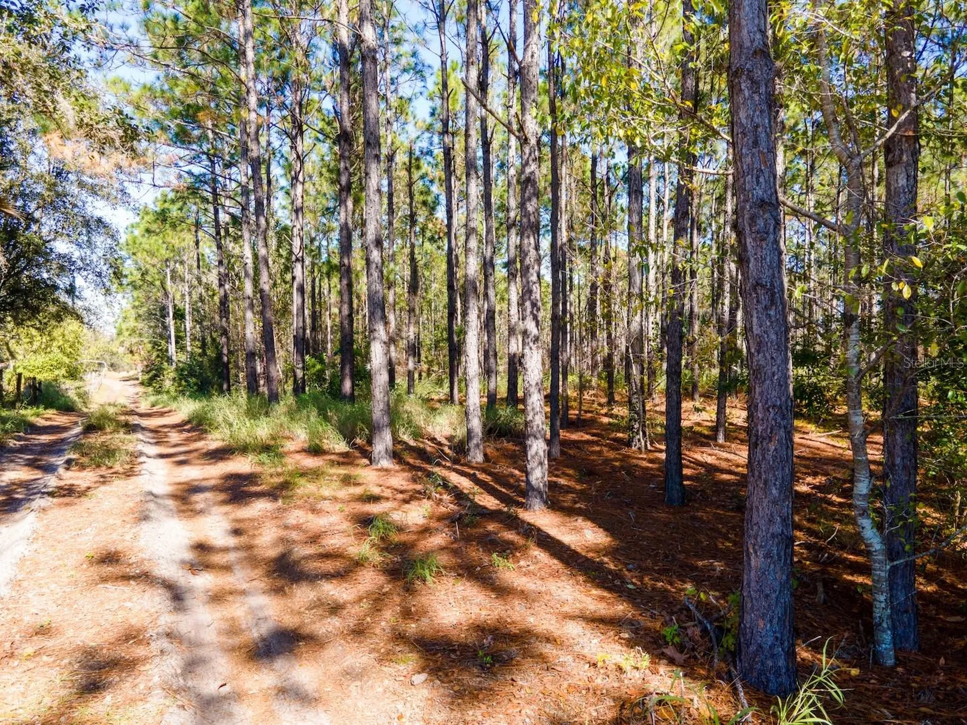 Lost Lake Road Clermont FL 34711