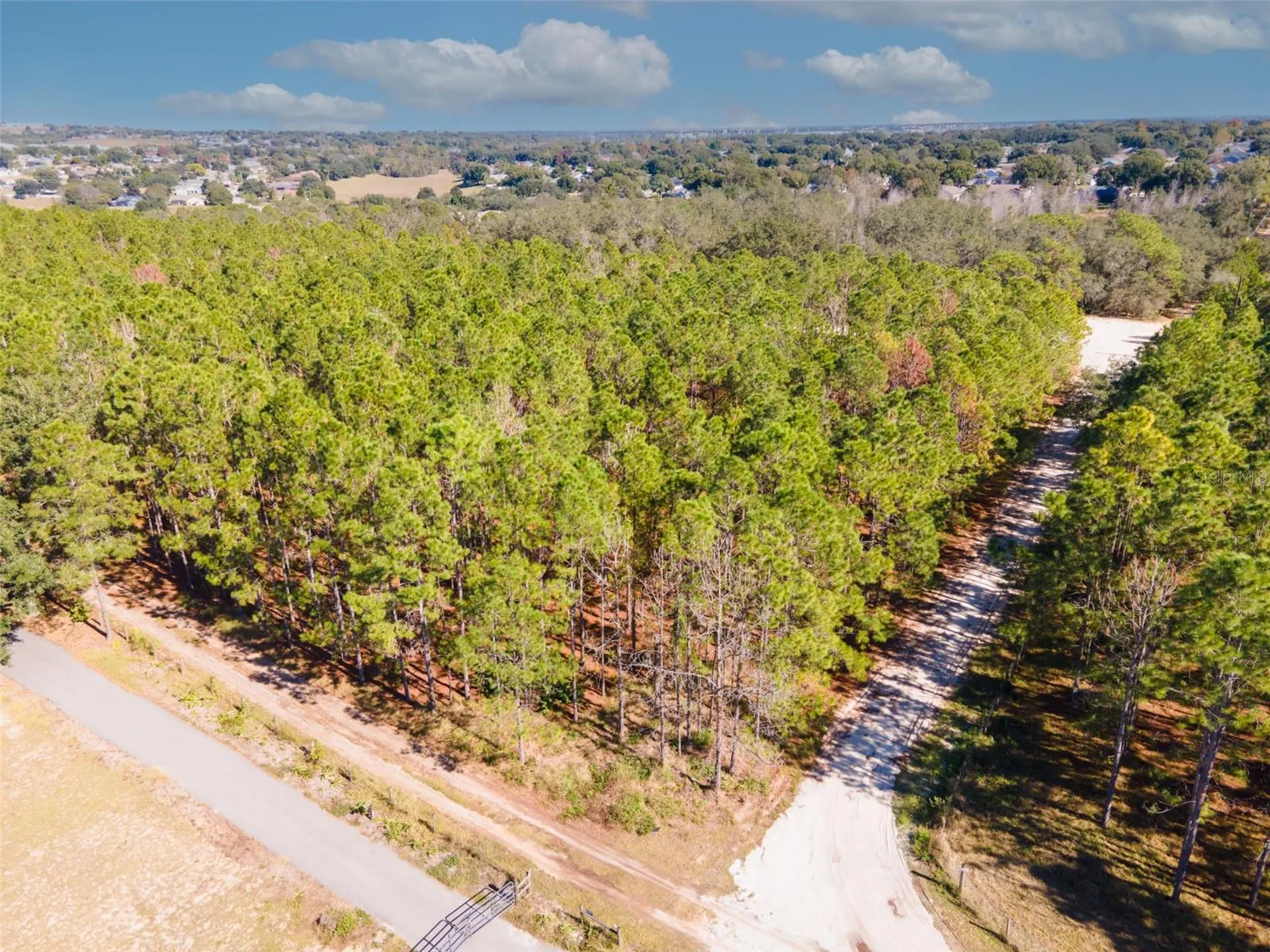 Lost Lake Road Clermont FL 34711