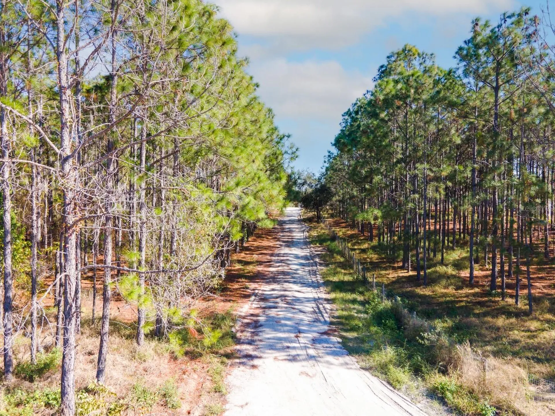 Lost Lake Road Clermont FL 34711