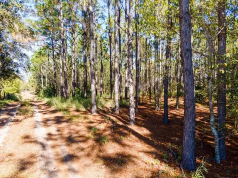Lost Lake Road Clermont FL 34711