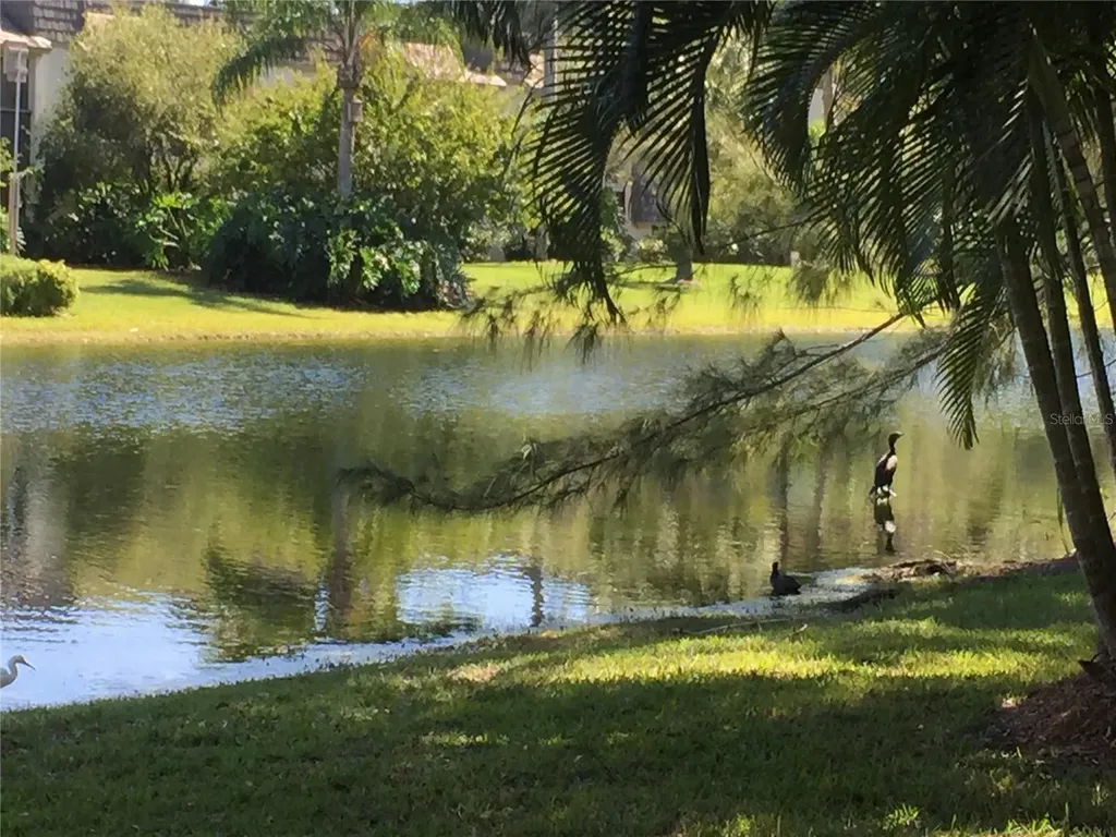 1645 Spoonbill Lane Naples FL 34105