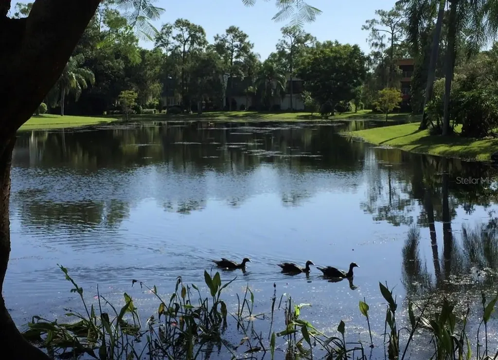 1645 Spoonbill Lane Naples FL 34105