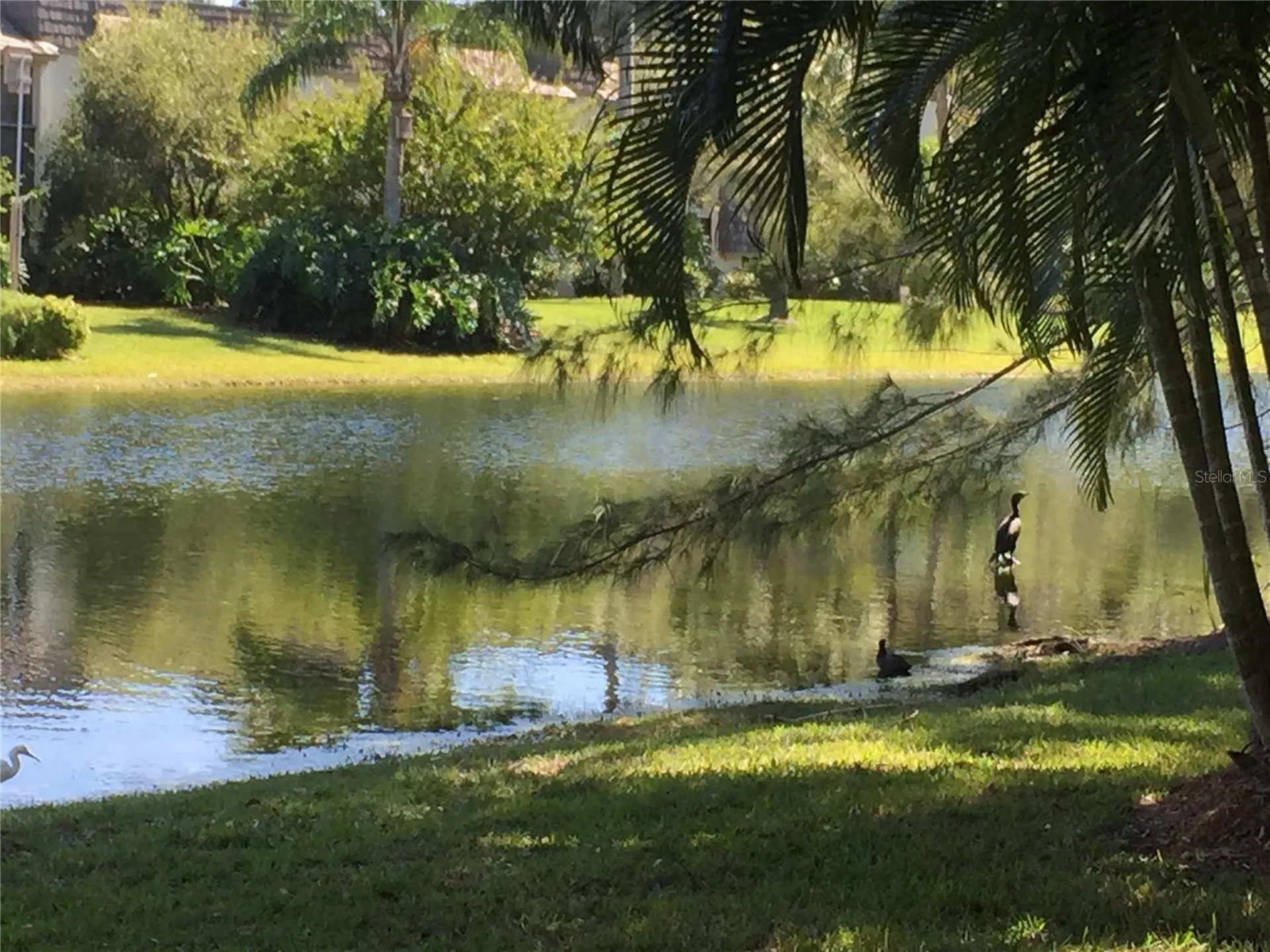1645 Spoonbill Lane Naples FL 34105