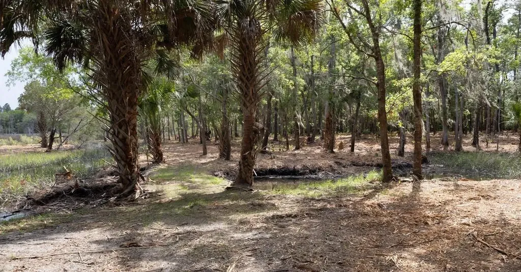 7149 Fitzpatrick Lane Jacksonville FL 32226
