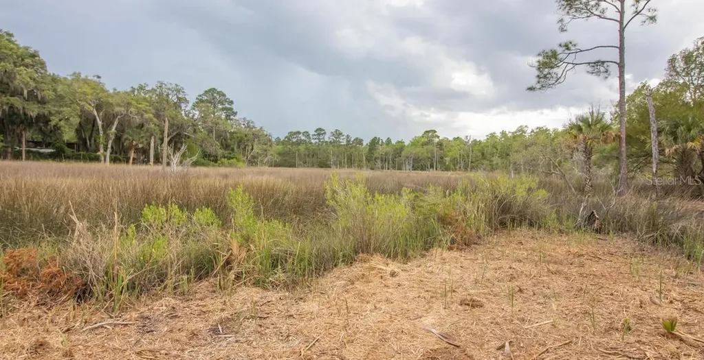 7149 Fitzpatrick Lane Jacksonville FL 32226