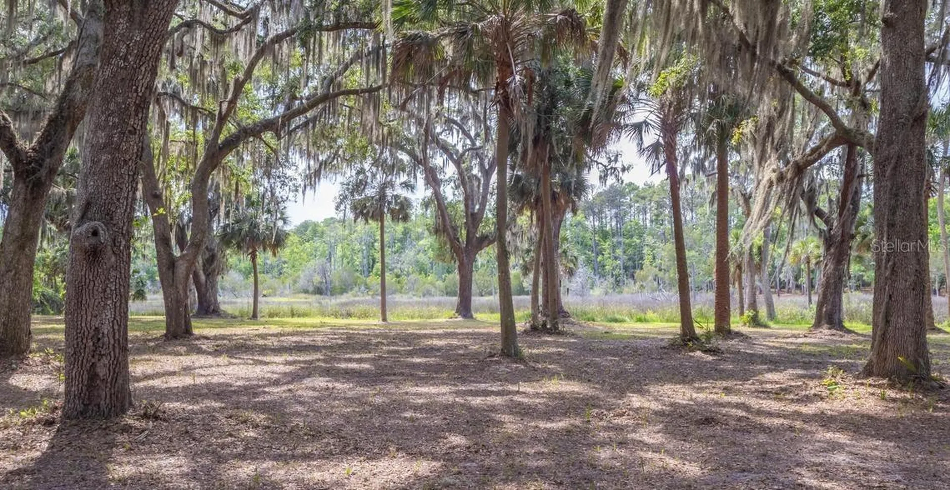 7149 Fitzpatrick Lane Jacksonville FL 32226