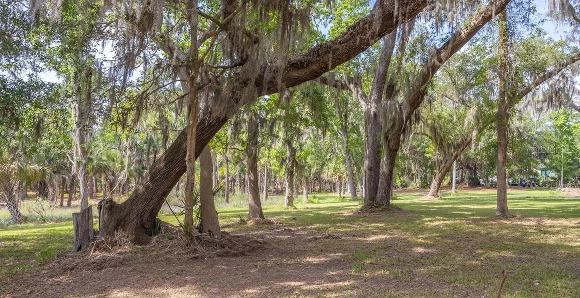 7149 Fitzpatrick Lane Jacksonville FL 32226
