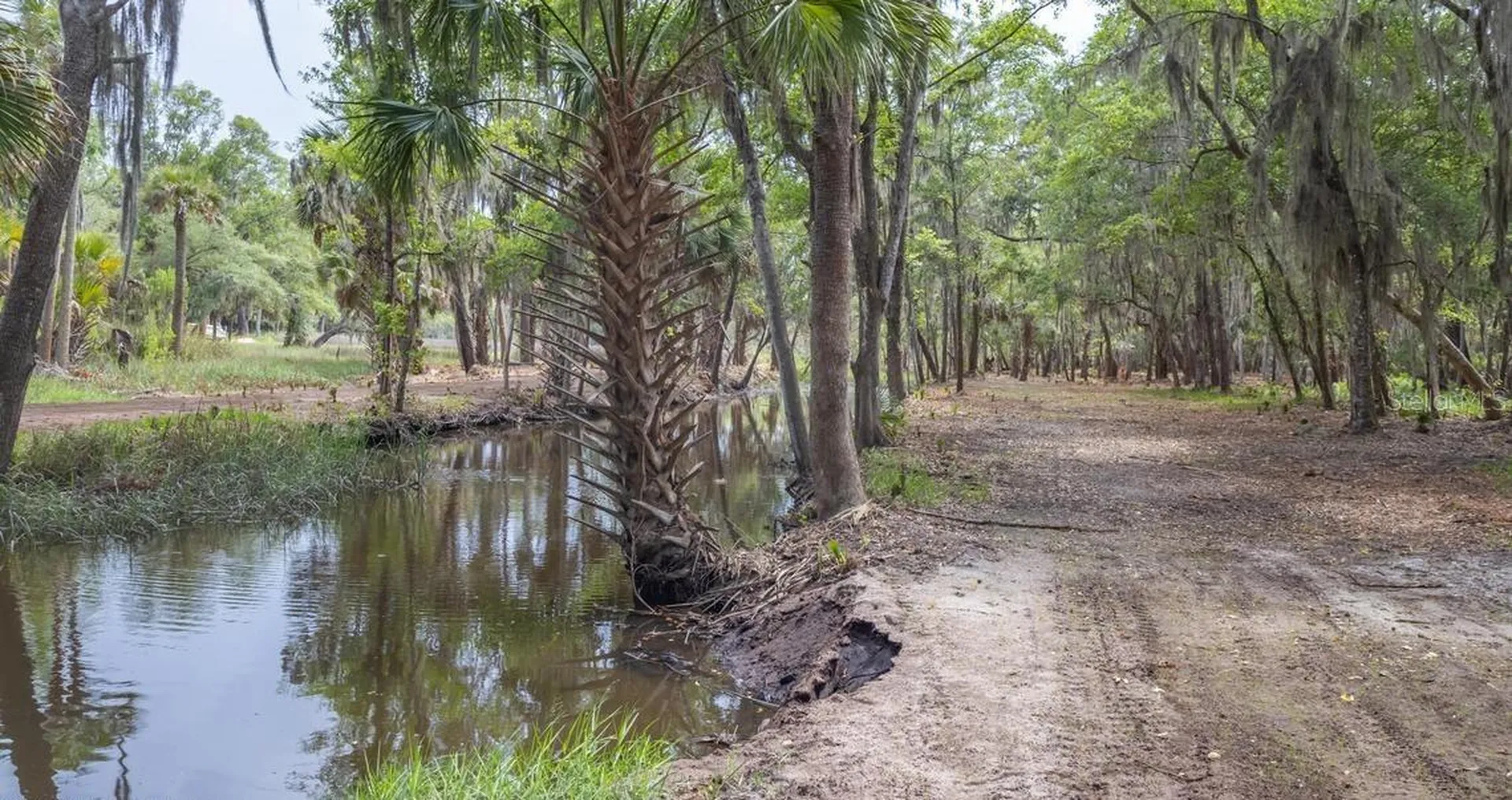 7149 Fitzpatrick Lane Jacksonville FL 32226