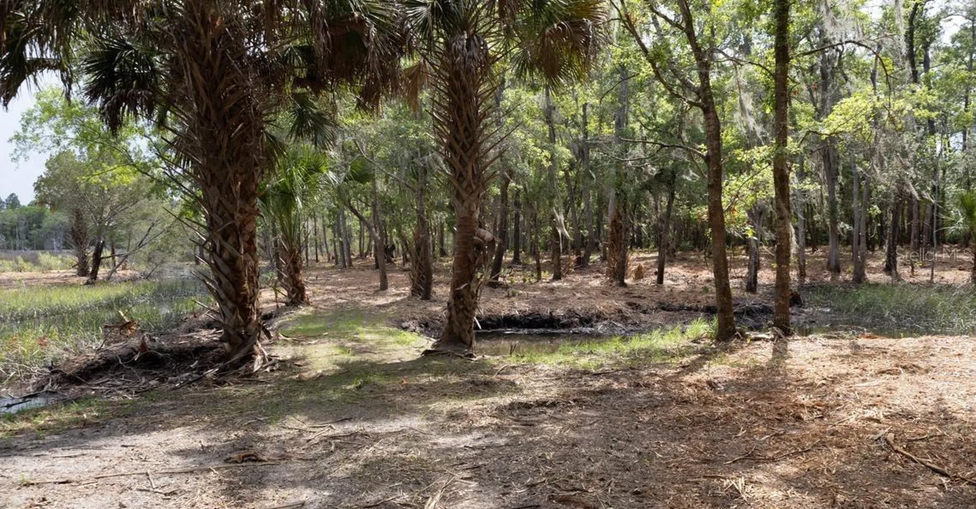 7149 Fitzpatrick Lane Jacksonville FL 32226