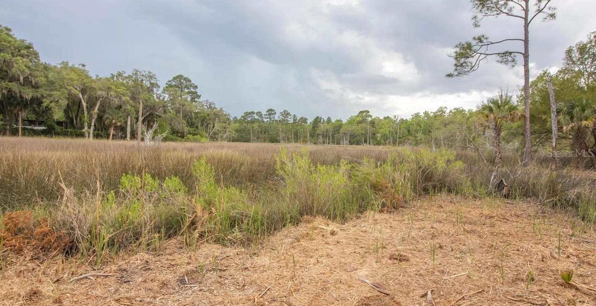 7149 Fitzpatrick Lane Jacksonville FL 32226