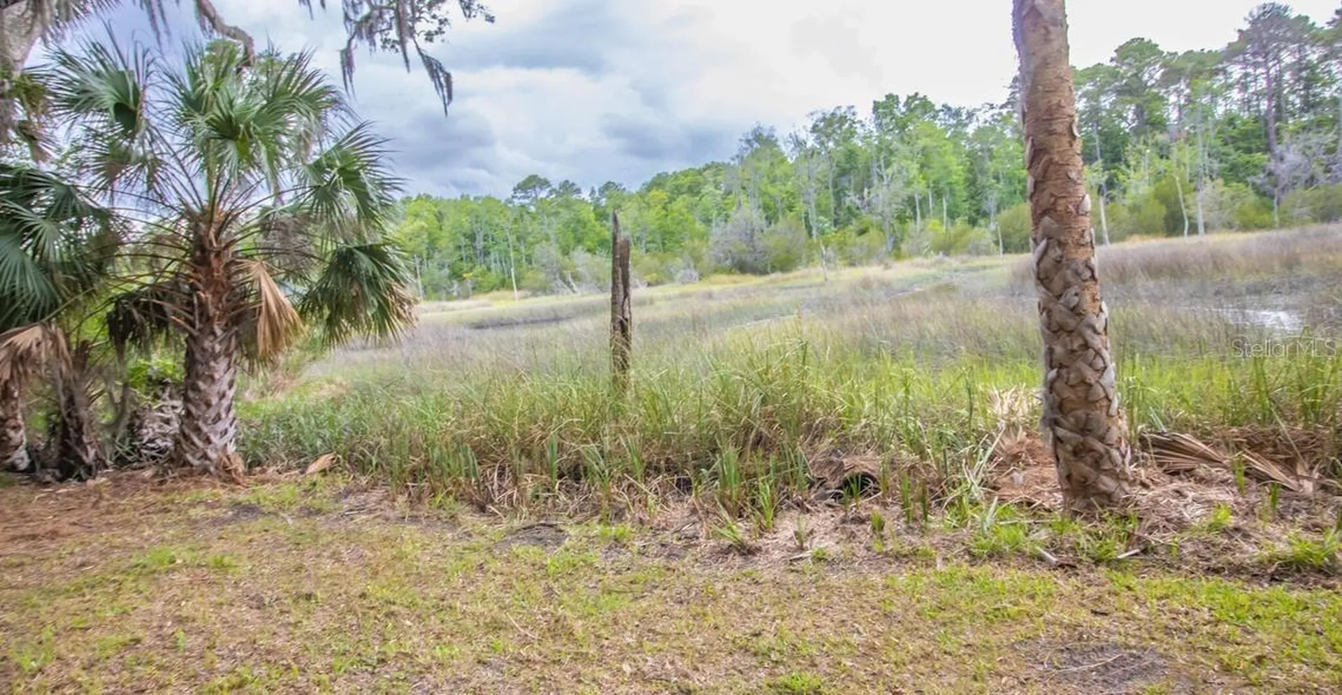 7149 Fitzpatrick Lane Jacksonville FL 32226