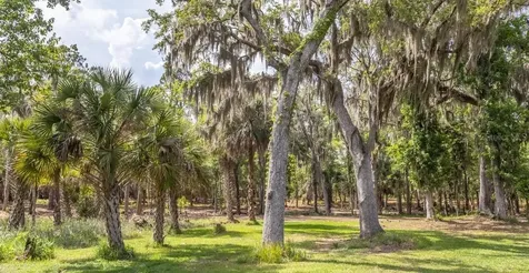 7149 Fitzpatrick Lane Jacksonville FL 32226