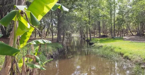 7149 Fitzpatrick Lane Jacksonville FL 32226