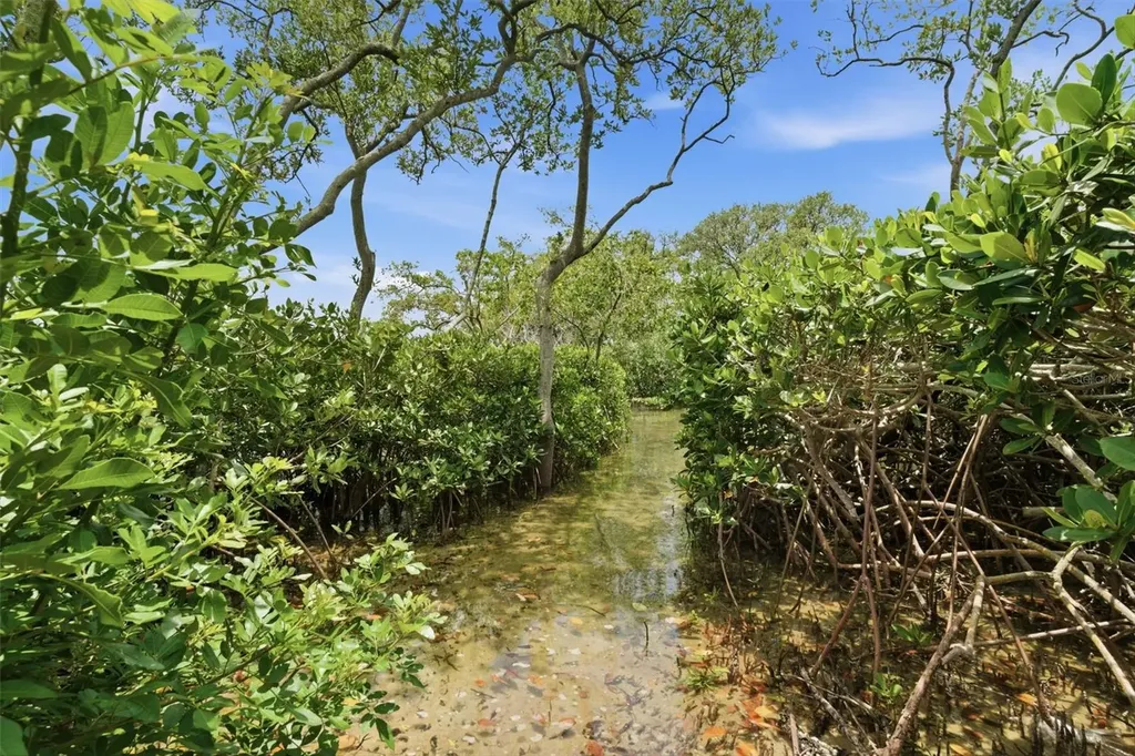 2739 Via Capri Clearwater FL 33764