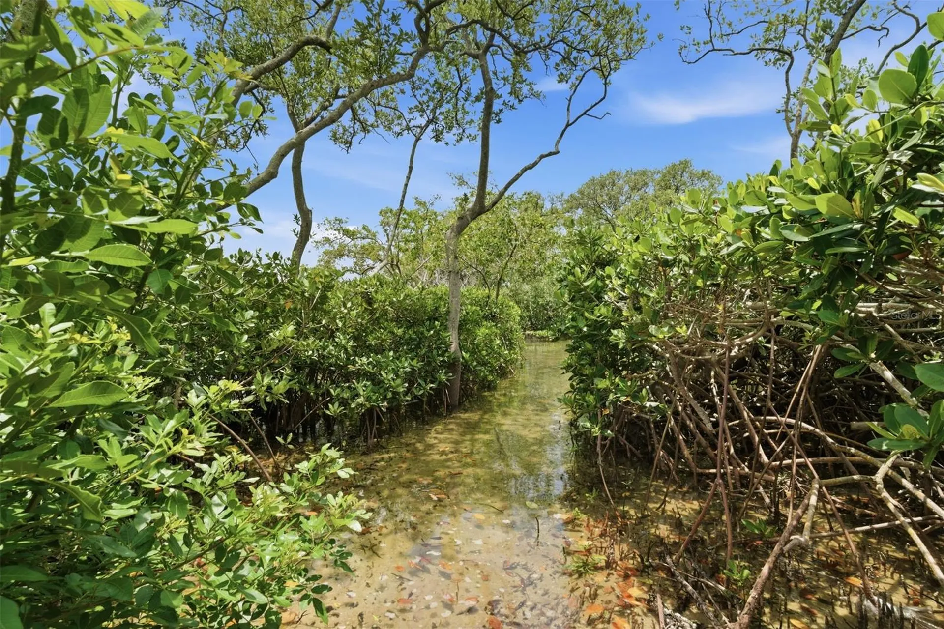 2739 Via Capri Clearwater FL 33764