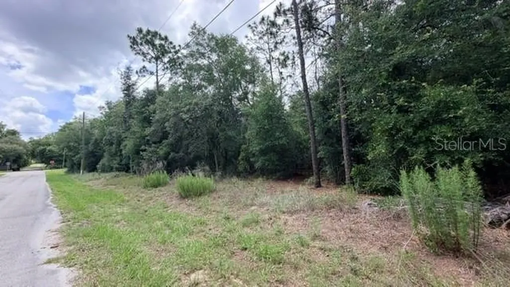 3223 E Scofield Street Inverness FL 34453