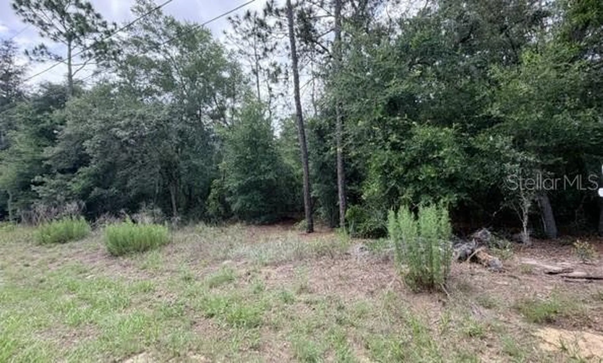 3223 E Scofield Street Inverness FL 34453