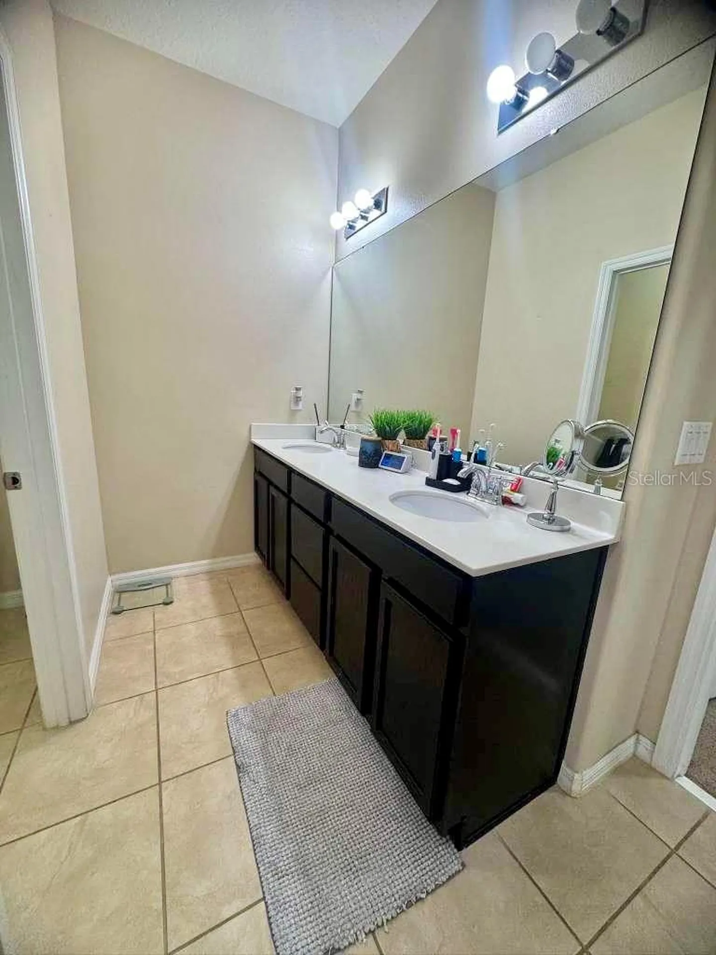 2515 Nouveau Way Kissimmee FL 34741