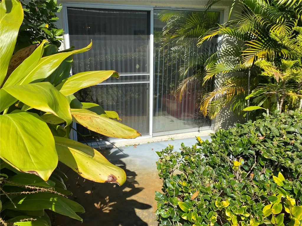 1059 Dunrobin Drive Palm Harbor FL 34684