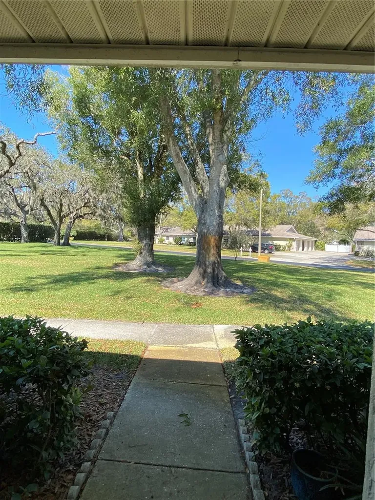1059 Dunrobin Drive Palm Harbor FL 34684