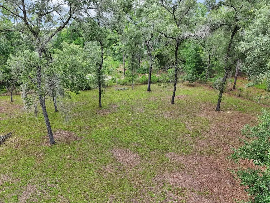 13931 SE 25th Street Morriston FL 32668