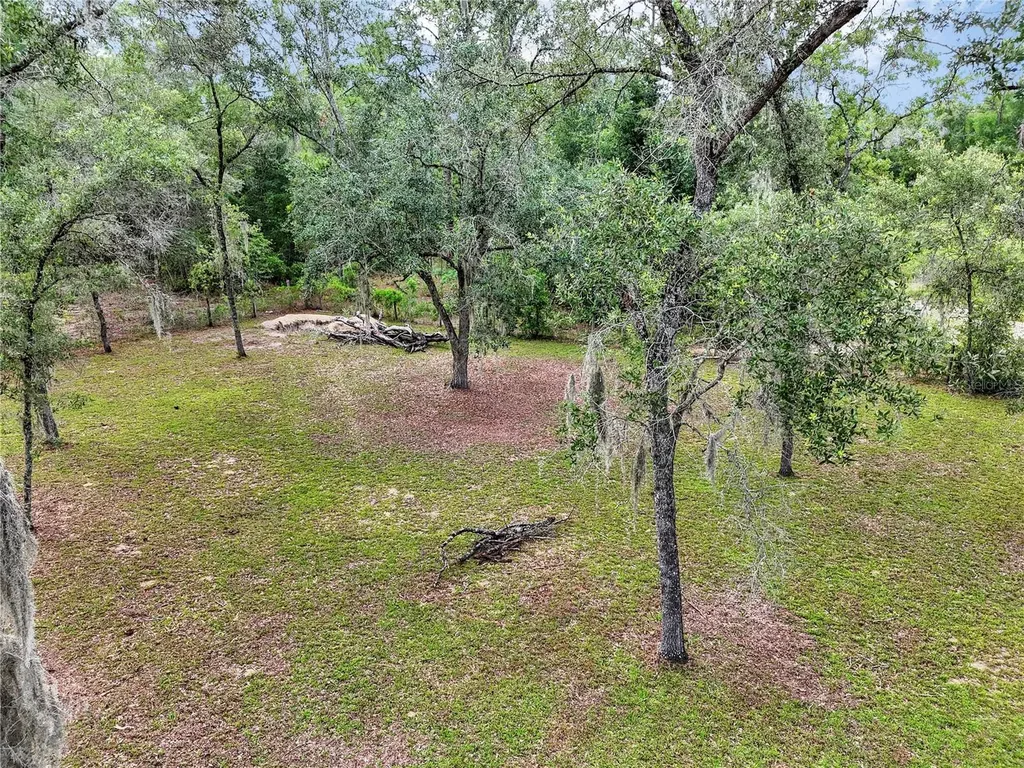 13931 SE 25th Street Morriston FL 32668