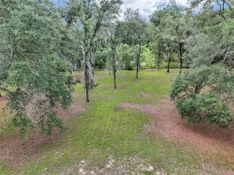 13931 SE 25th Street Morriston FL 32668