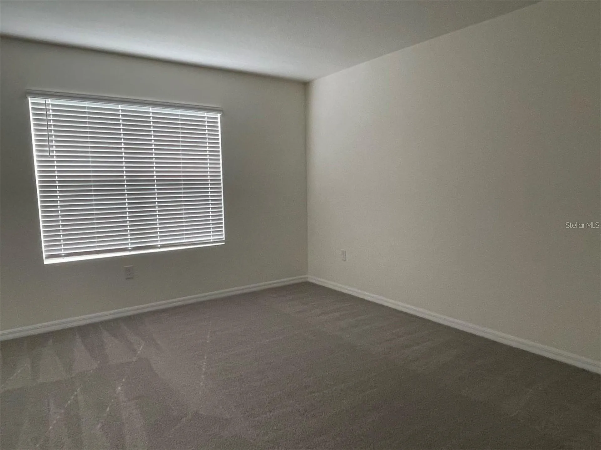 5526 Oxford Gray Road Wesley Chapel FL 33545