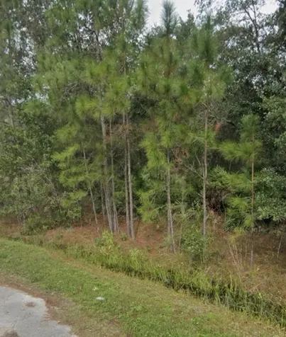 1437 Tern Court Poinciana FL 34759