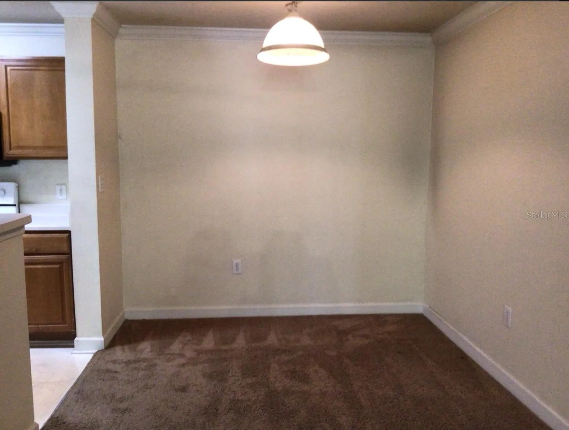 18139 Back Stretch Lane Tampa FL 33647