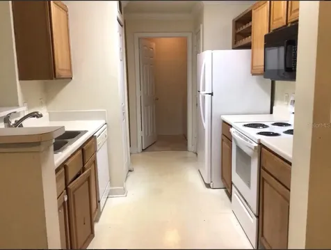 18139 Back Stretch Lane Tampa FL 33647