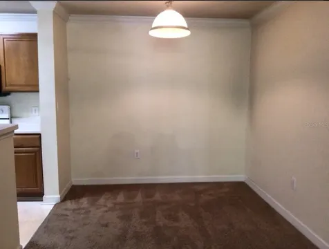 18139 Back Stretch Lane Tampa FL 33647