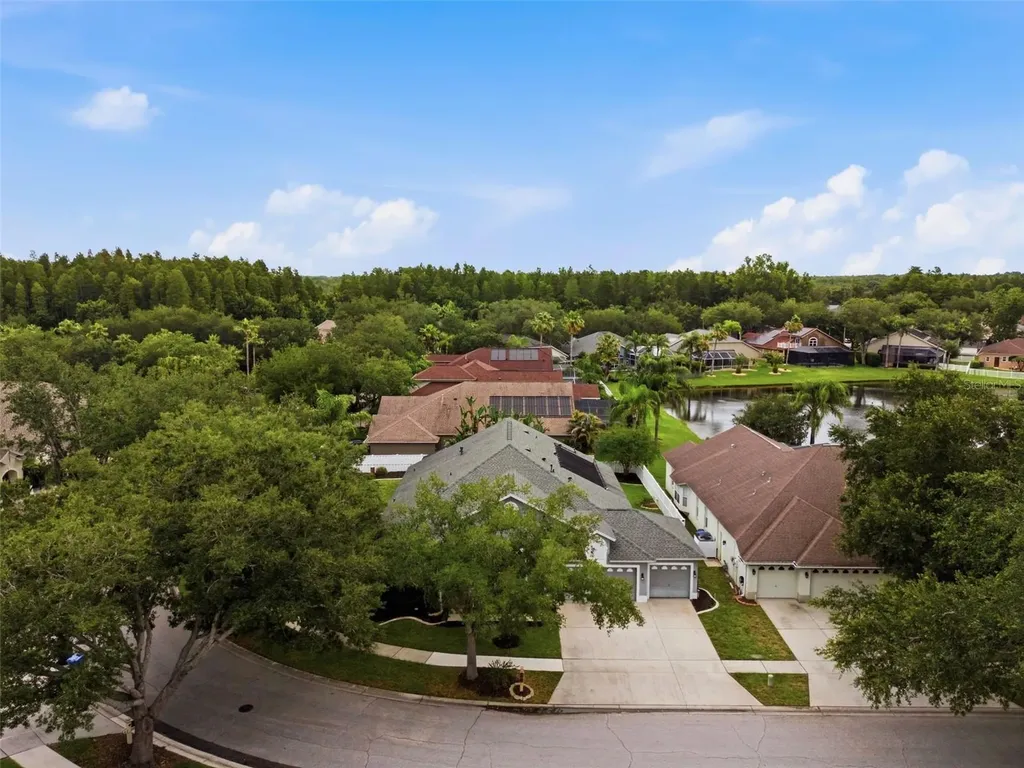 19348 Wind Dancer Street Lutz FL 33558