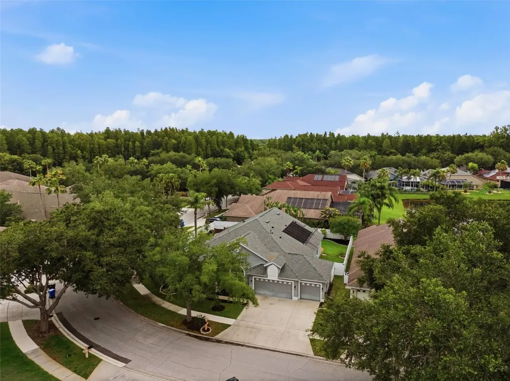 19348 Wind Dancer Street Lutz FL 33558