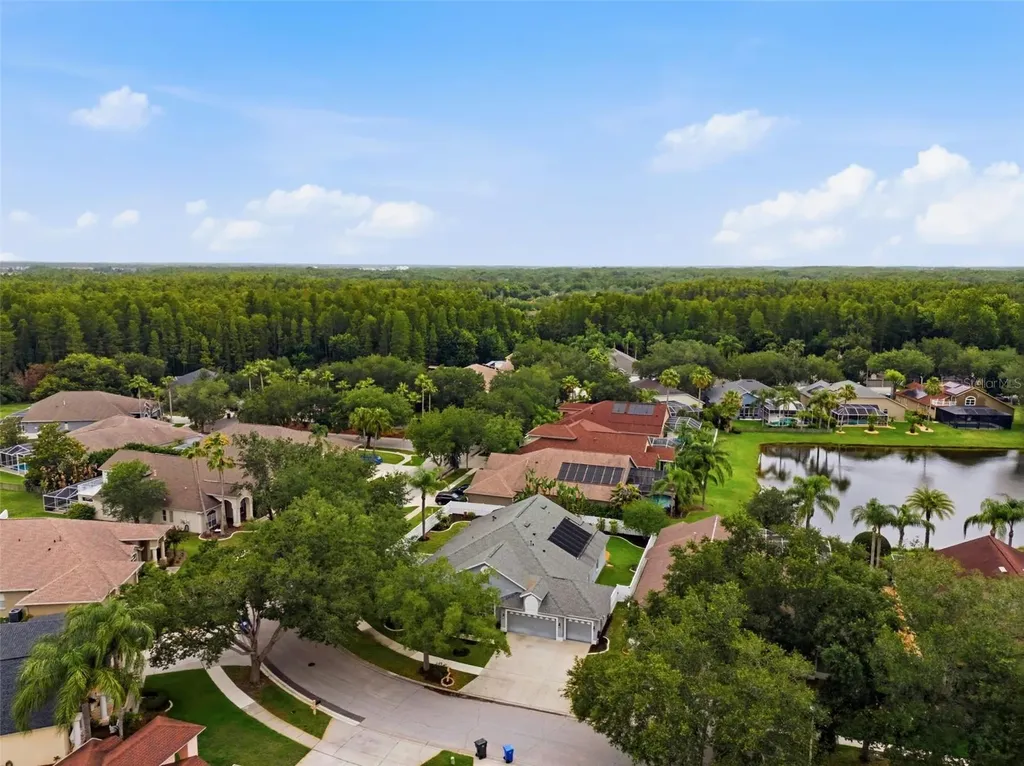 19348 Wind Dancer Street Lutz FL 33558