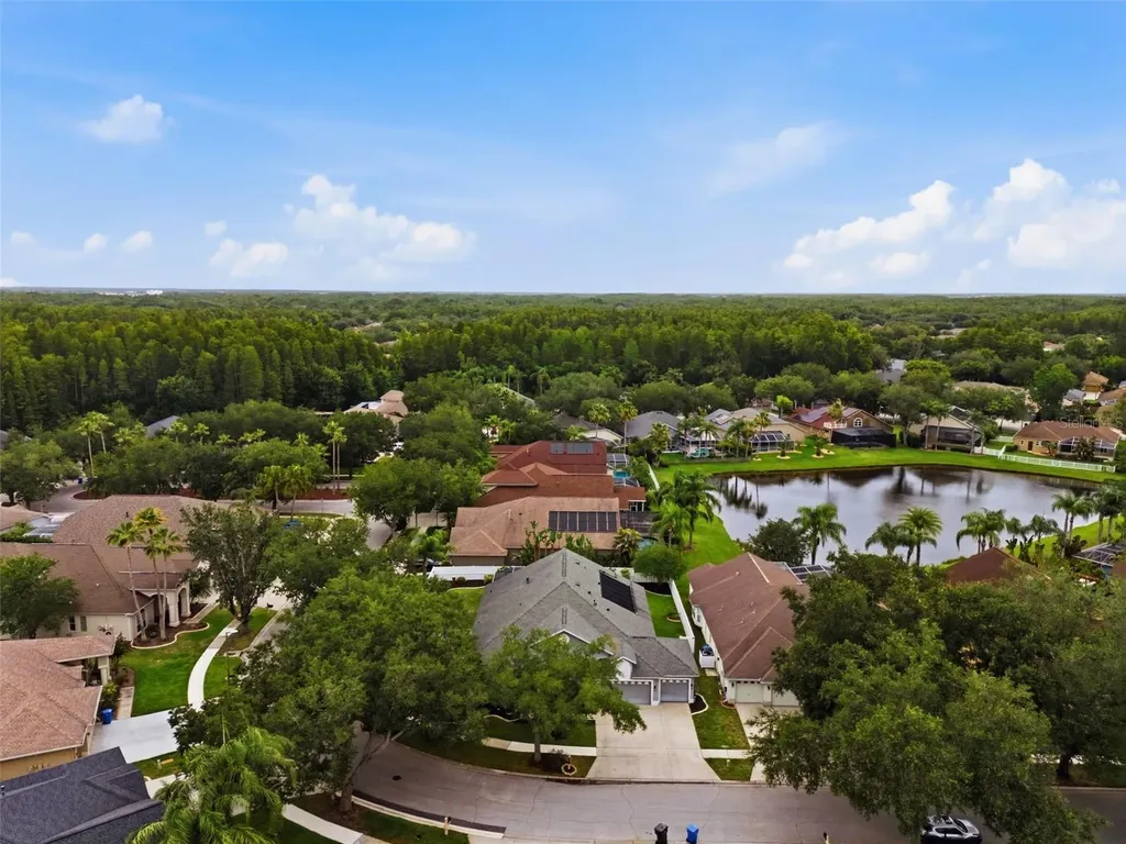 19348 Wind Dancer Street Lutz FL 33558