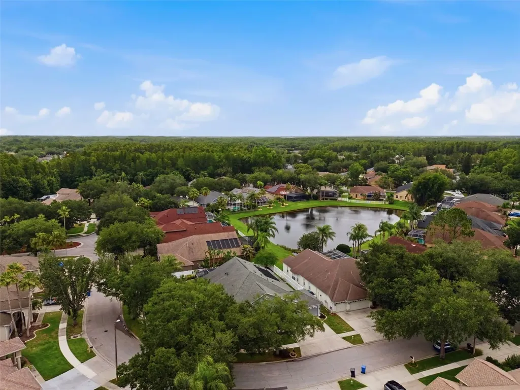 19348 Wind Dancer Street Lutz FL 33558
