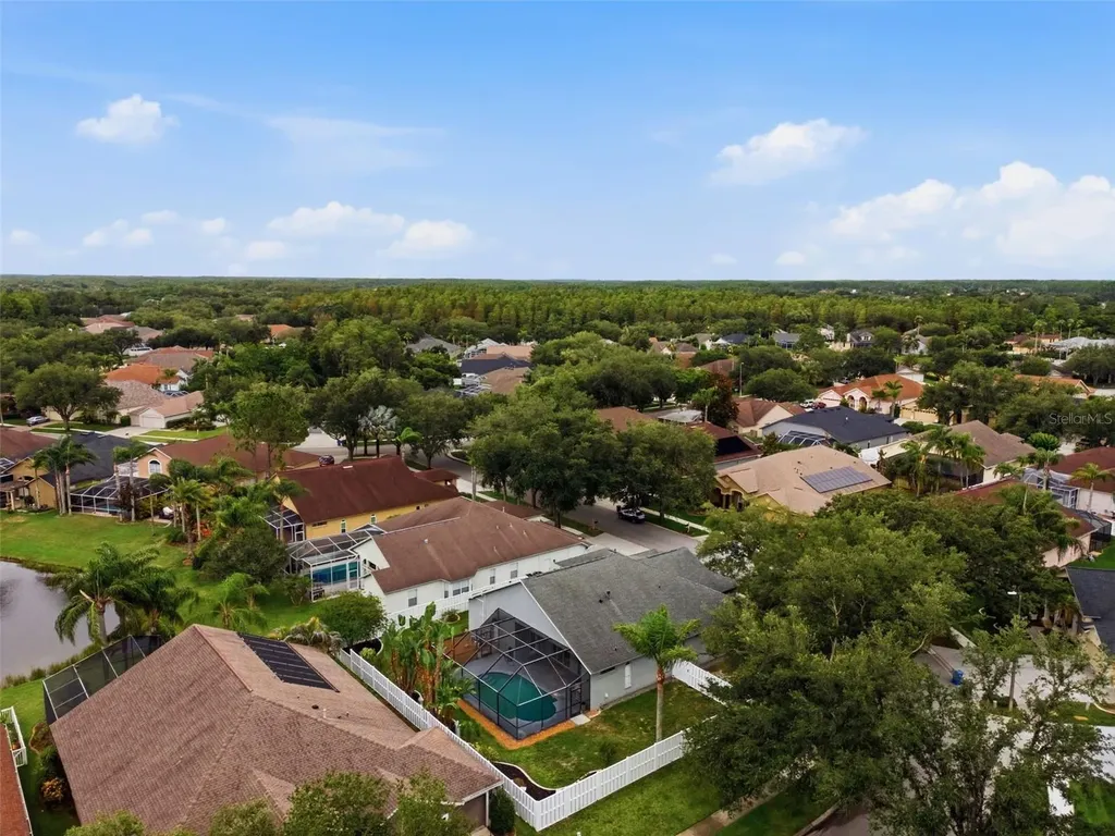 19348 Wind Dancer Street Lutz FL 33558