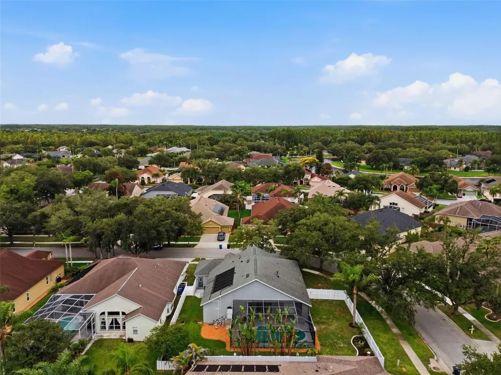 19348 Wind Dancer Street Lutz FL 33558
