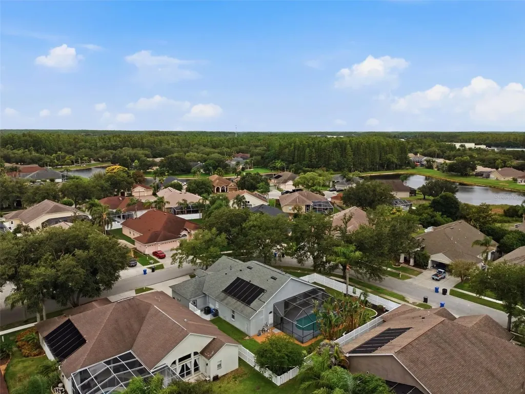 19348 Wind Dancer Street Lutz FL 33558