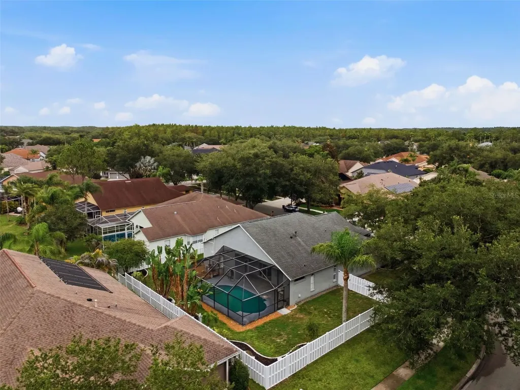 19348 Wind Dancer Street Lutz FL 33558
