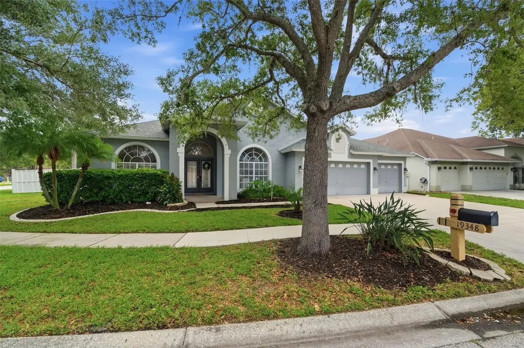 19348 Wind Dancer Street Lutz FL 33558