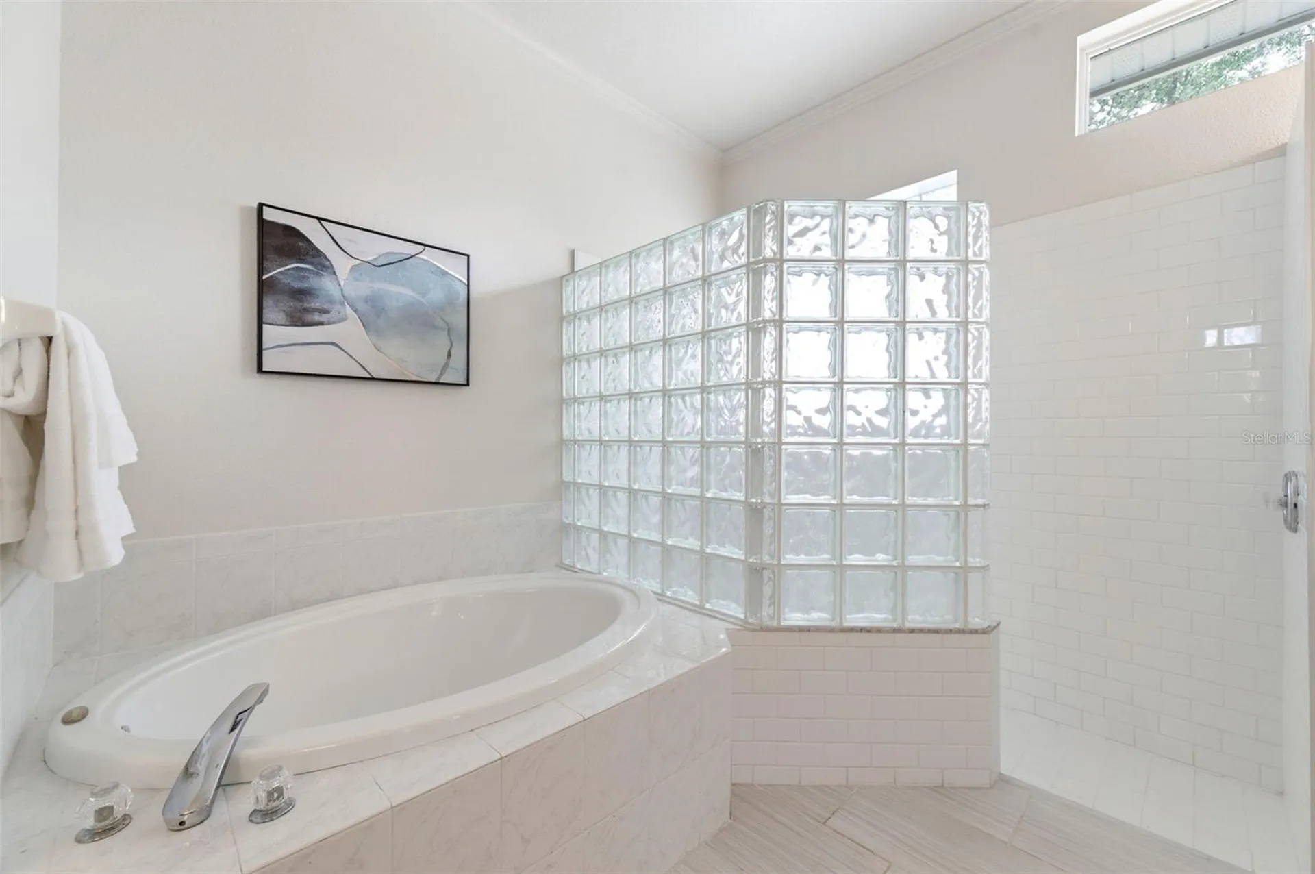 19348 Wind Dancer Street Lutz FL 33558