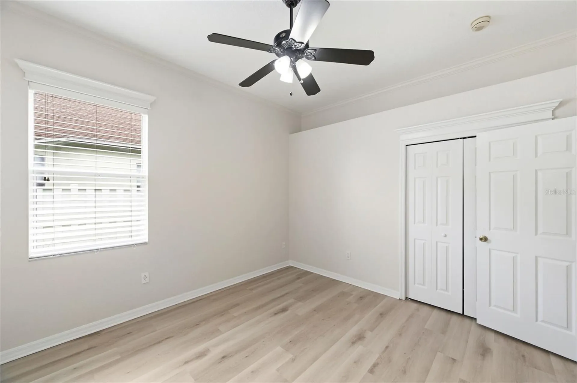 19348 Wind Dancer Street Lutz FL 33558