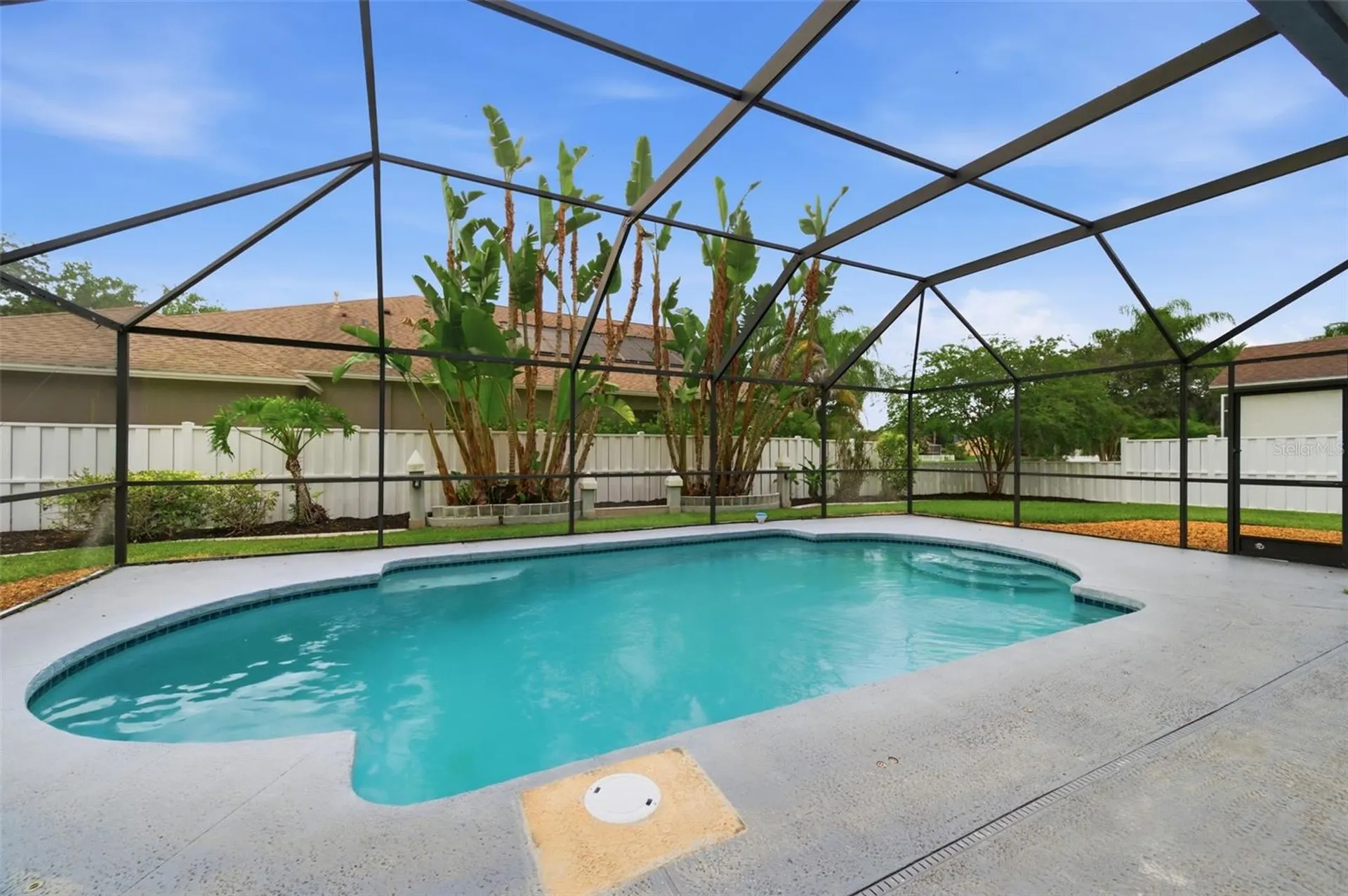 19348 Wind Dancer Street Lutz FL 33558