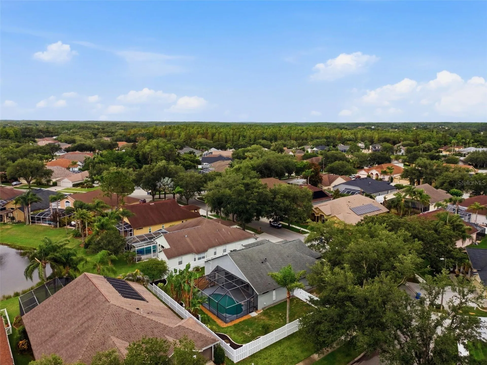 19348 Wind Dancer Street Lutz FL 33558