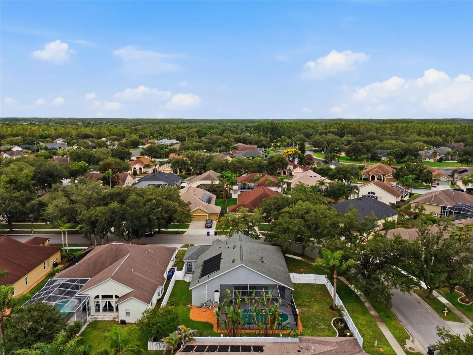 19348 Wind Dancer Street Lutz FL 33558