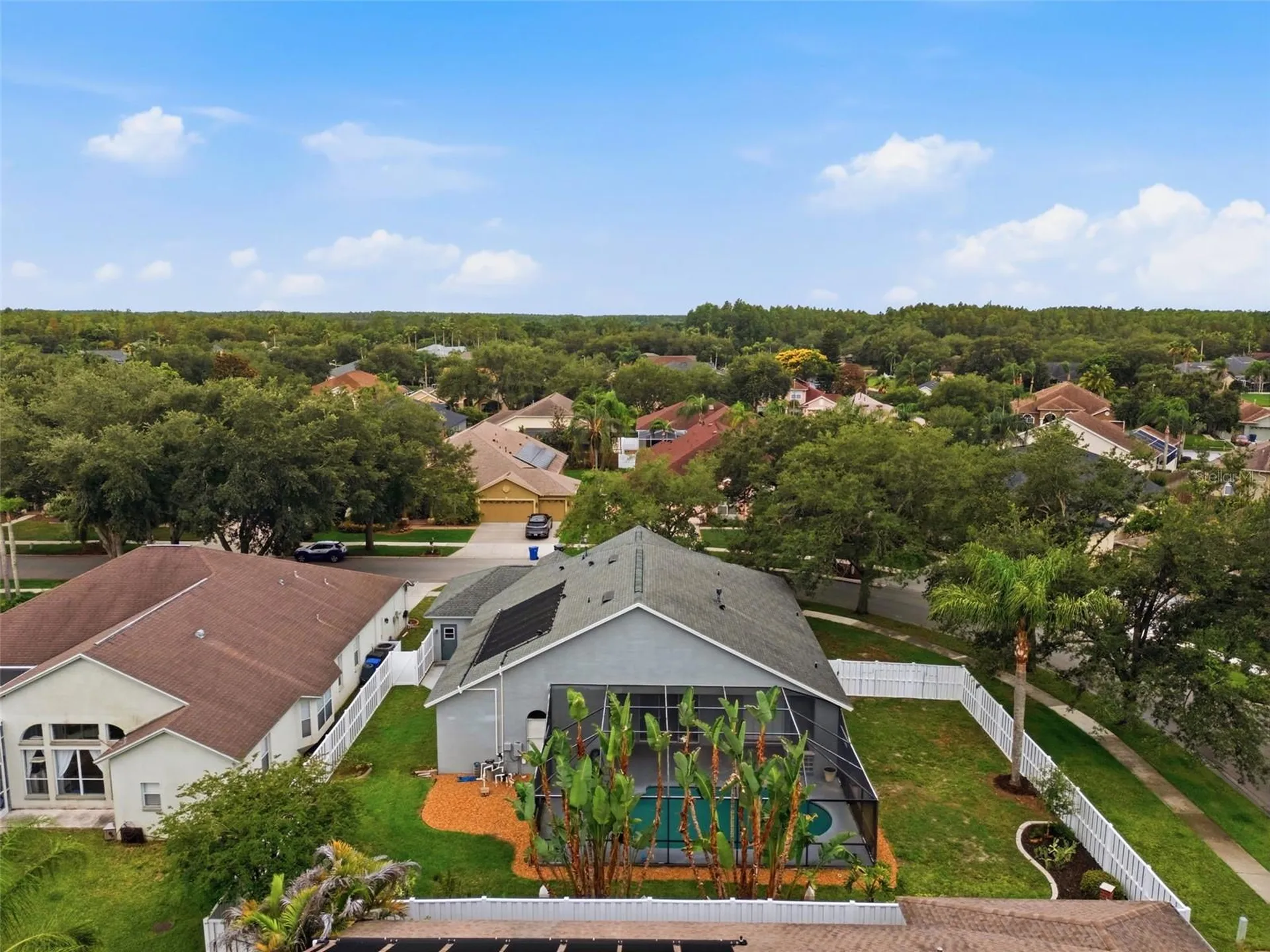 19348 Wind Dancer Street Lutz FL 33558