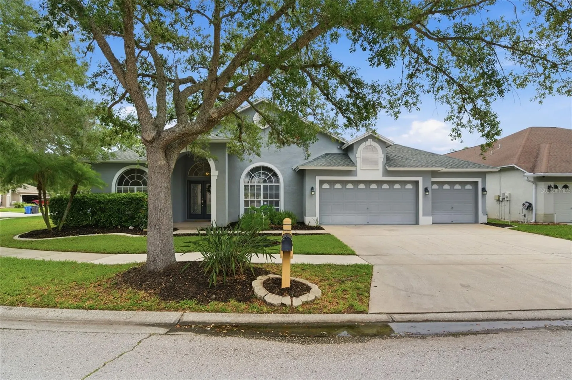 19348 Wind Dancer Street Lutz FL 33558
