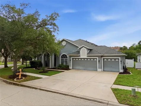 19348 Wind Dancer Street Lutz FL 33558